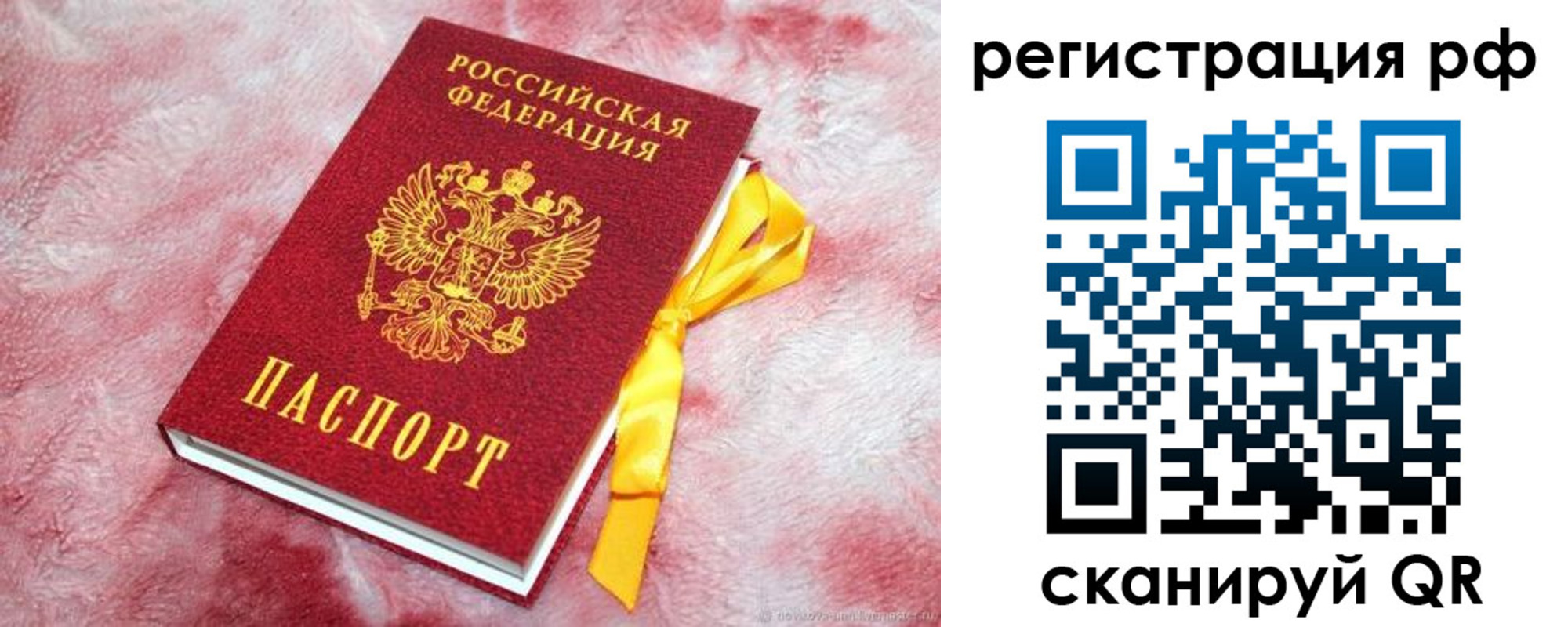 прописка в Павловске